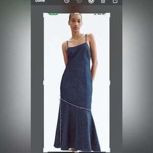 Zara Jean Dress: DENIM MIDI DRESS